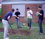 Schüler Klasse 10 legen den Bibelgarten an, erste Gestaltung