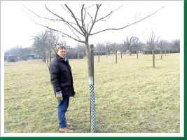 Klicken Sie auf das Bild, um es zu vergrößern